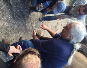 Paddock Paradise 2015