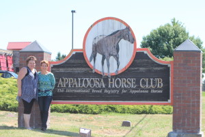 Appaloosa Horse Club