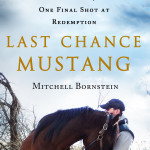 Last-Chance-Mustang