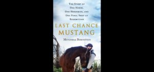 LASTCHANCEMUSTANG_coverimage