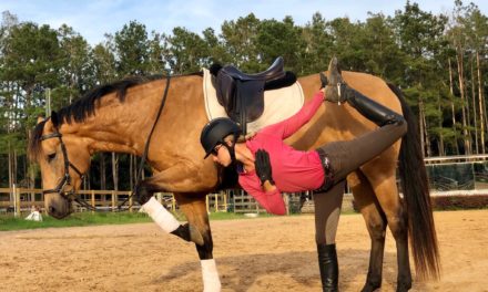 140 Equestrian Yoga Trainer, 12 Year Old Mustang Trainer, by Omega Fields