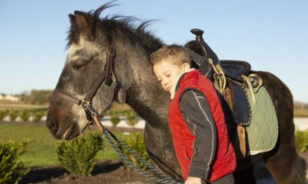 144 A Pony and His Boy, Senior Horse Nutrition by Omega Fields