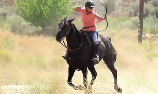 149 Pain Management, Horseback Archery, by Omega Fields