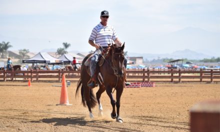 151: Therapeutic Shoeing and Model Horse Owner by Omega Fields