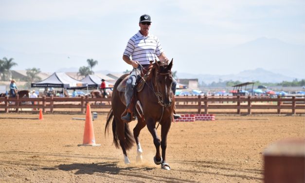 151: Therapeutic Shoeing and Model Horse Owner by Omega Fields