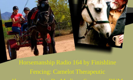 164 by Finishline Fencing: Camelot Therapeutic Horsemanship, Dr. Madison Seamans, DVM