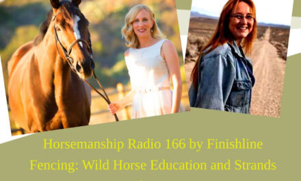 166 by Finishline Fencing: Wild Horse Education and Strands of Hope