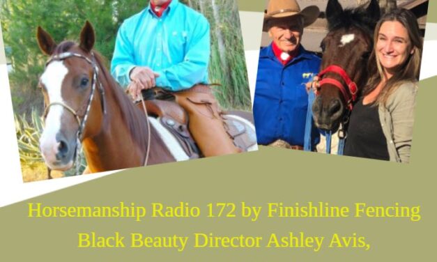 172 by Finishline Fencing: Black Beauty Director Ashley Avis, Monty Roberts on Thigmotaxis
