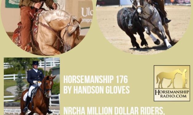 Horsemanship 176 by HandsOn Gloves : NRCHA Million Dollar Riders, FEI Judge Kristi Wysocki