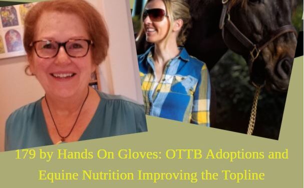 179 by Hands On Gloves: OTTB Adoptions and Equine Nutrition Improving the Topline