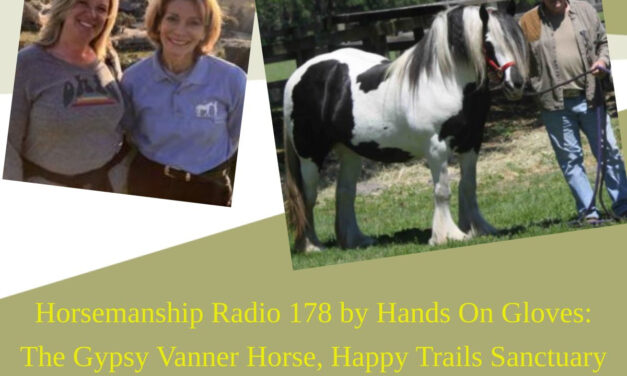 178 by Hands On Gloves: The Gypsy Vanner Horse and Happy Trails Sanctuary