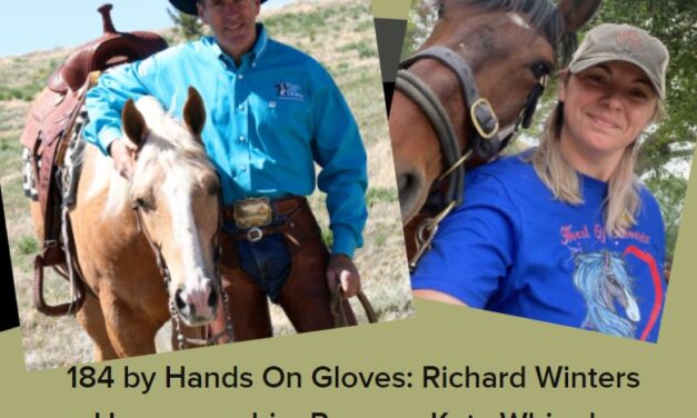 184 by Hands On Gloves: Richard Winters Horsemanship, Rescuer Katy Whipple