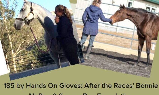 185 by Hands On Gloves: After the Races’ Bonnie McRae & Square Peg Foundation