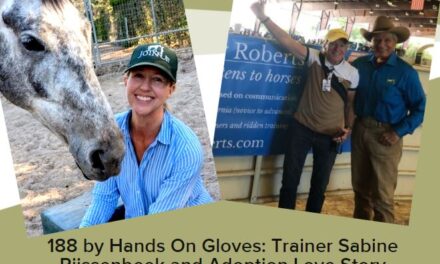 188 by Hands On Gloves: Trainer Sabine Rijssenbeek and Adoption Love Story