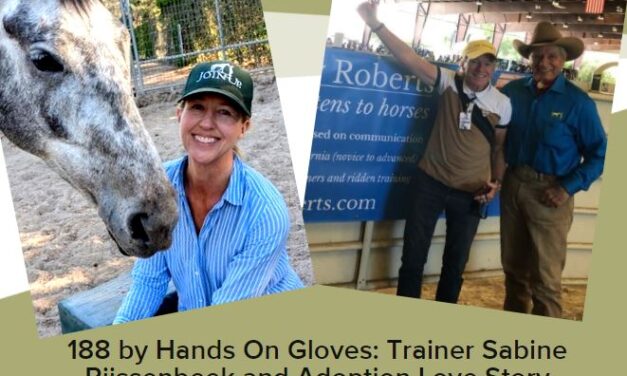 188 by Hands On Gloves: Trainer Sabine Rijssenbeek and Adoption Love Story