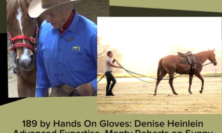 189 by Hands On Gloves: Denise Heinlein Advanced Expertise, Monty Roberts on Sunny
