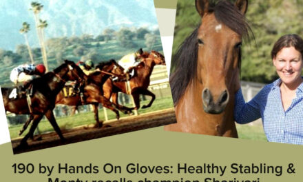 190 by Hands On Gloves: Healthy Stabling & Monty Recalls Champion Sharivari