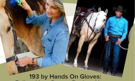 193 by Hands On Gloves:  Follow Your Dream Back to Horses
