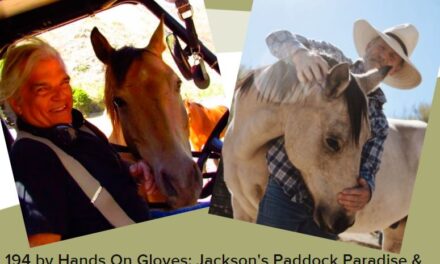 194 by Hands On Gloves: Jackson’s Paddock Paradise & Hooves Built, Not Carved