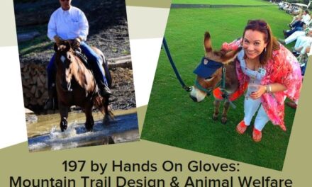 197 by Hands On Gloves: Mountain Trail Design & Animal Welfare Brooke USA