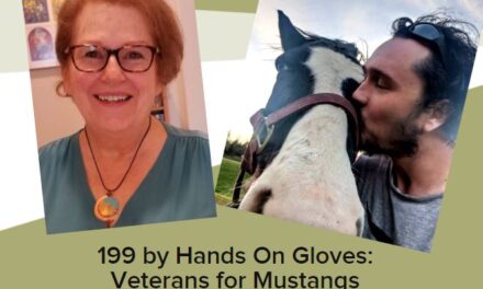 199 by Hands On Gloves:  Veterans for Mustangs & Dr. Getty on Hardkeepers