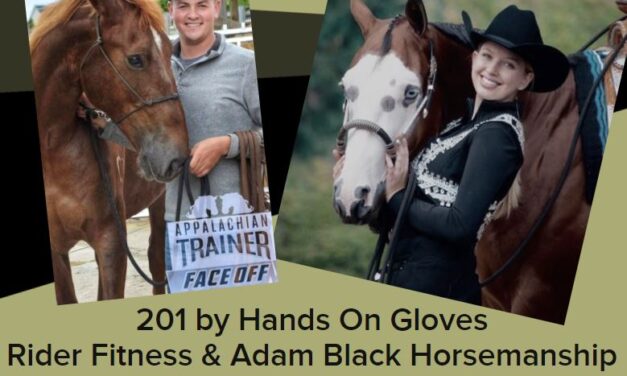 201 by Hands On Gloves:  Rider Fitness & Adam Black Horsemanship