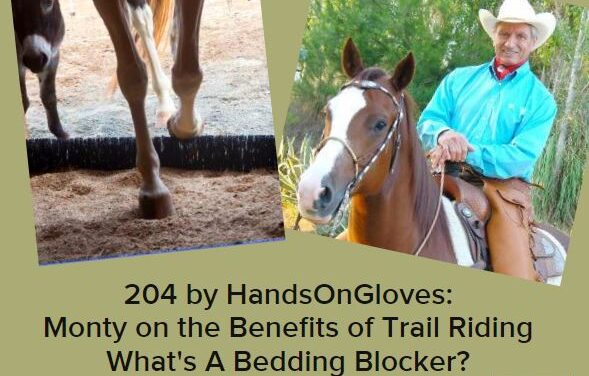 204 by HandsOnGloves:  Monty on Benefits of Trail Riding, What’s A Bedding Blocker?