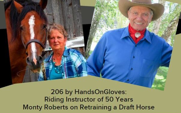 206 by HandsOnGloves:  Riding Instructor of 50 Years, Monty Roberts on Retraining a Draft Horse