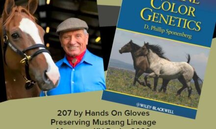 207 by Hands On Gloves:  Preserving Mustang Lineage & Monty on KY Derby 2022