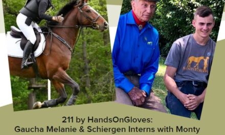 211 by HandsOnGloves:  Gaucha Melanie & Schiergen Interns with Monty