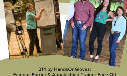 214 by HandsOnGloves:  Famous Farrier &  Appalachian Trainer Face Off