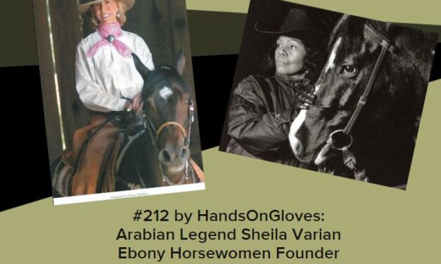 212 by  HandsOnGloves:  Arabian Legend Sheila Varian & Ebony Horsewomen Founder
