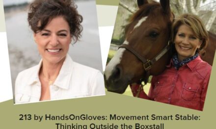 213 by HandsOnGloves: Movement Smart Stable: Thinking Outside the Box Stall