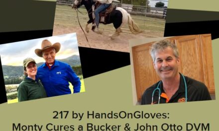 217 by HandsOnGloves:  Monty Cures a Bucker & John Otto DVM