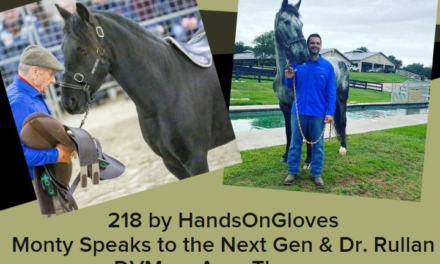 218 by HandsOnGloves: Monty Speaks to the Next Gen & Dr. Rullan DVM on AquaTherapy