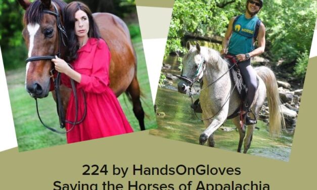 224 by HandsOnGloves Saving the Horses of Appalachia