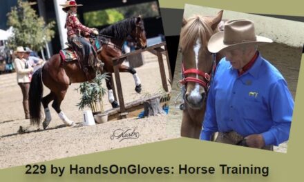 229 by HandsOnGloves: Horse Training When to Push On, When to Back Off & Working Equitation