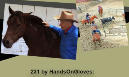 231 by HandsOnGloves: Can AI Benefit Horsemanship? , Origins of Team Penning Part 2