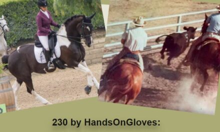 230 by HandsOnGloves: Working Equitation Part 2 and Roots of Team Penning