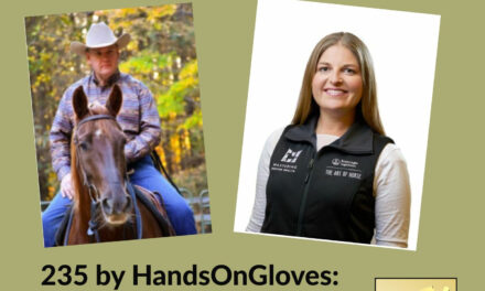 235 by HandsOnGloves: What to Expect in a Lameness Exam & Gaited Horse Basics