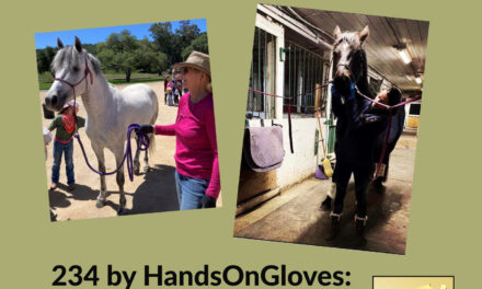 234 by HandsOnGloves: Ambassador for Horses & Does Your Horses Bit Fit?