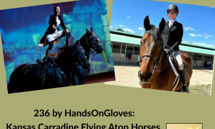 236 by HandsOnGloves: Kansas Carradine Flying Atop Horses & Relax Trax, Music That Calms
