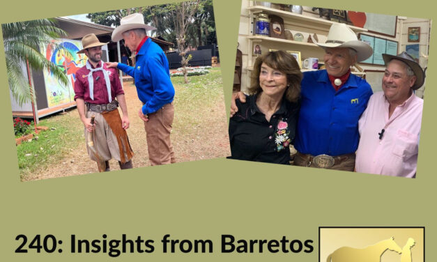 240: Insights from Barretos Equestrian Event by HandsOnGloves