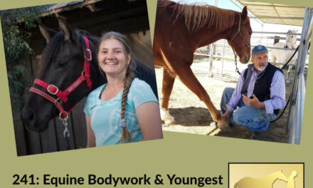 241: Equine Bodywork & Youngest Certified Monty Roberts Instructor, by HandsOnGloves