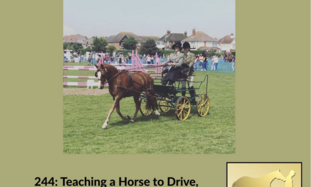 244: Teaching a Horse to Drive, The Cowboy & The Queen Premier, by HandsOnGloves