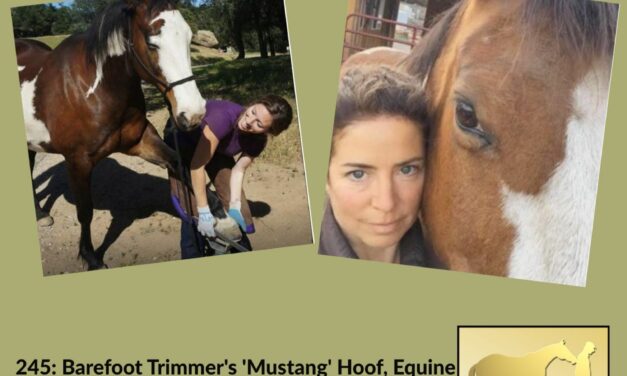 245: Barefoot Trimmer’s ‘Mustang’ Hoof & Connecting Behavior and Biomechanics, by HandsOnGloves