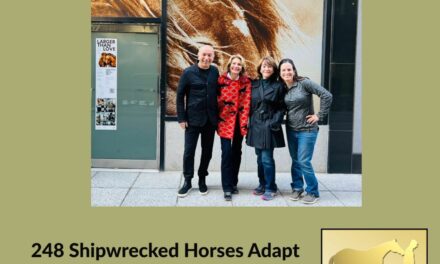 248 Shipwrecked Horses Adapt & Thrive on Sable Island, by HandsOnGloves