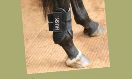 253: Science and Innovation Thermoregulation in Equine Athletes, by HandsOnGloves