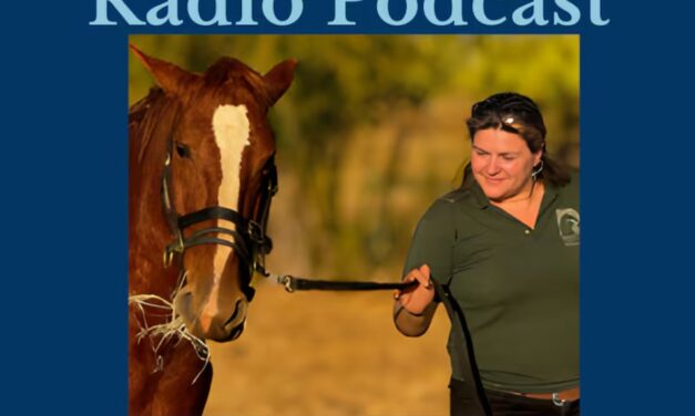 293: Brazilian Instructor Bia Franco On Equine Assisted Learning by HandsOnGloves