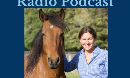 295: Horses Teach us to Think in Multi Approaches to Training, Denise Heinlein by HandsOnGloves